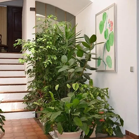 Superbe Vue Et Emplacement Exceptionne *